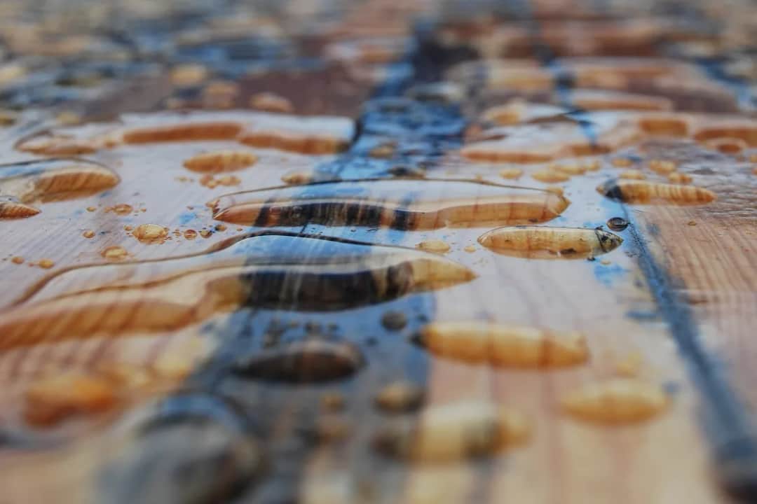 Jak skutecznie zabezpieczyć drewniany plac zabaw przed zniszczeniem